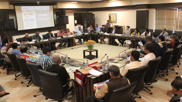 Report on the 2016 South Asia NGO Meeting