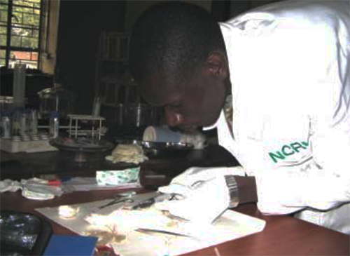 herbal-medicine-in-uganda3