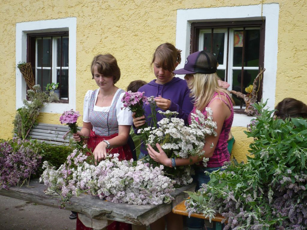 © TEH Verein [Local healing knowledge in the Pinzgau region, inscribed in 2010.] 