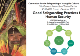 Seminar on “Good Safeguarding Practices for Human Security” – Paris July 5th