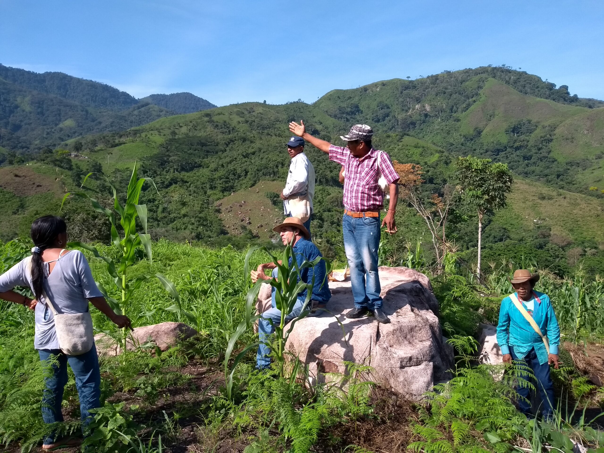 Asociación Tejeteje