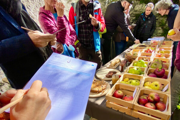 PoloPoschiavo_Biodiversity_OldApplesVarieties_Tasting_CasaTome_Foto_CassianoLuminati - Cassiano Luminati PoloPoschiavo_Biodiversity_OldApplesVarieties_Tasting_CasaTome_Foto_CassianoLuminati - Cassiano Luminati