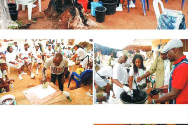 A FEW OF BDEI ACTIVITIES 1A._page-0004 - Bab.Dev. & Empt. Init BDEI