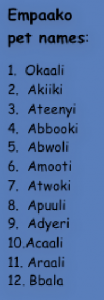 HA_Empaako pet names